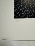 Neshat Shirin - Unveiling series #1 (1993)