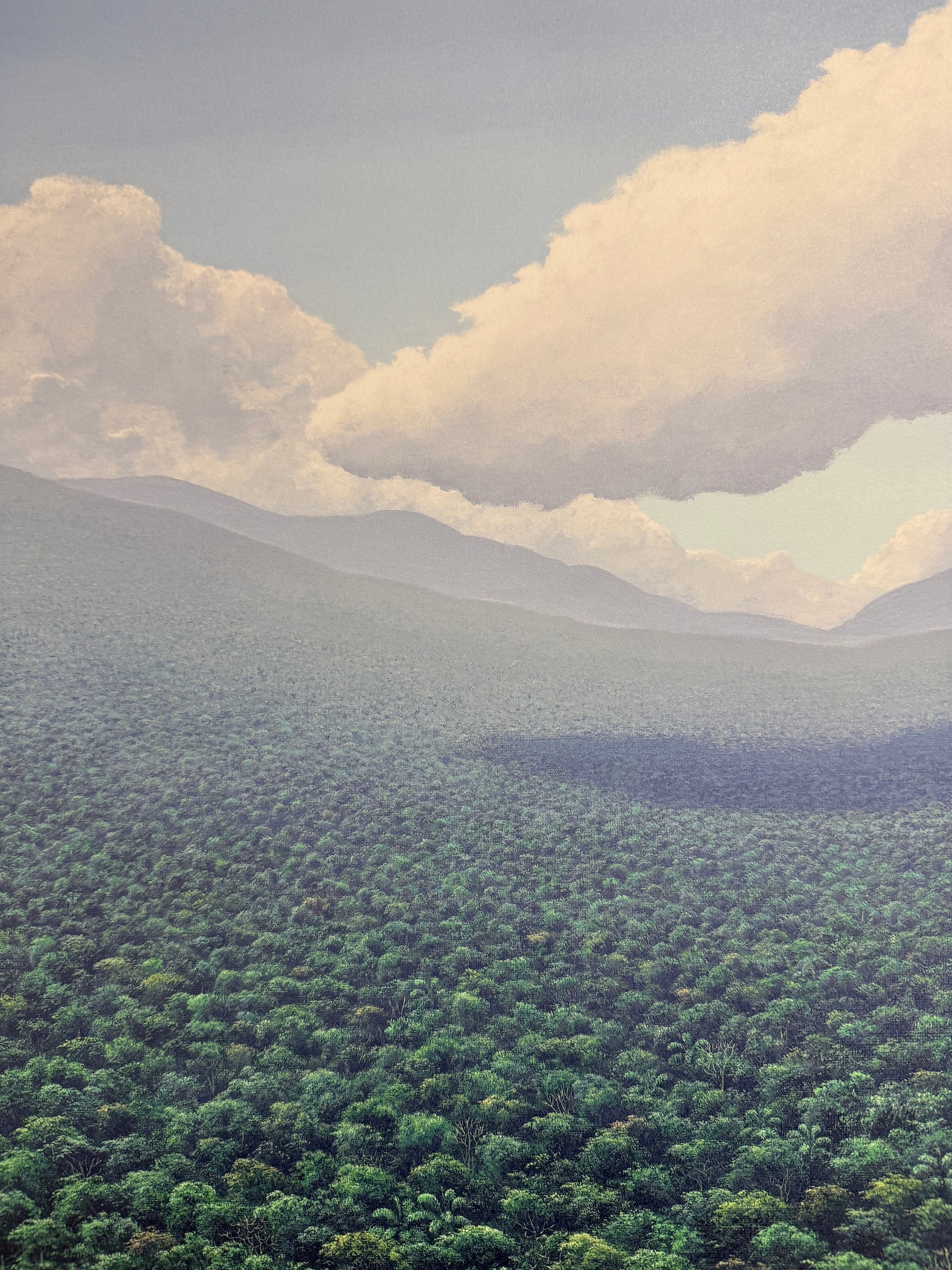 Tomás Sánchez – Nuage de Pensée
