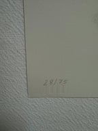 Nuno Viegas - Writer III (2021) I Limited Edition