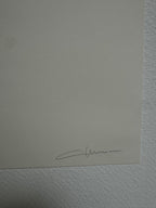 Nuno Viegas - Writer III (2021) I Limited Edition