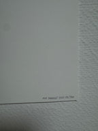 Mr Doodle - Pop Heart Unlocked Heard (2021) I Limited Editon