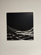 Robert Longo - Untitled (Falling Flag) 2025