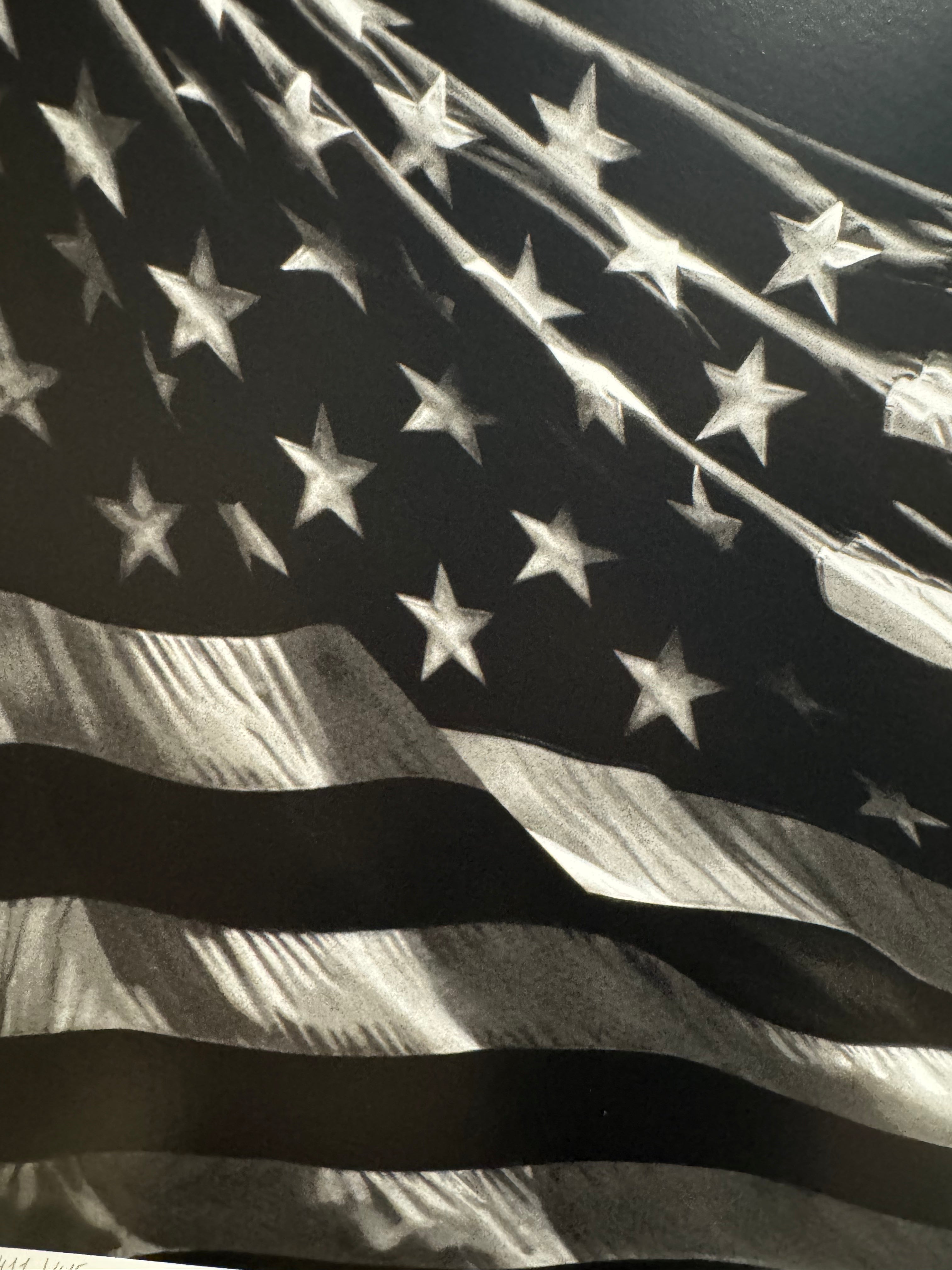 Robert Longo - Untitled (Falling Flag) 2025
