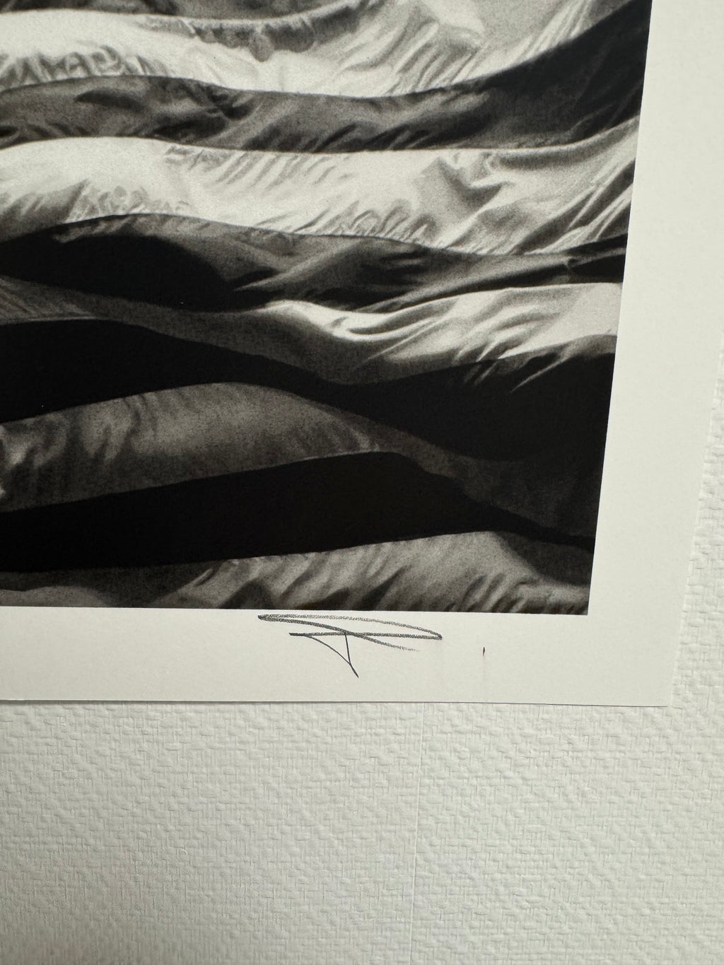 Robert Longo - Untitled (Falling Flag) 2025