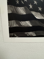 Robert Longo - Untitled (Falling Flag) 2025