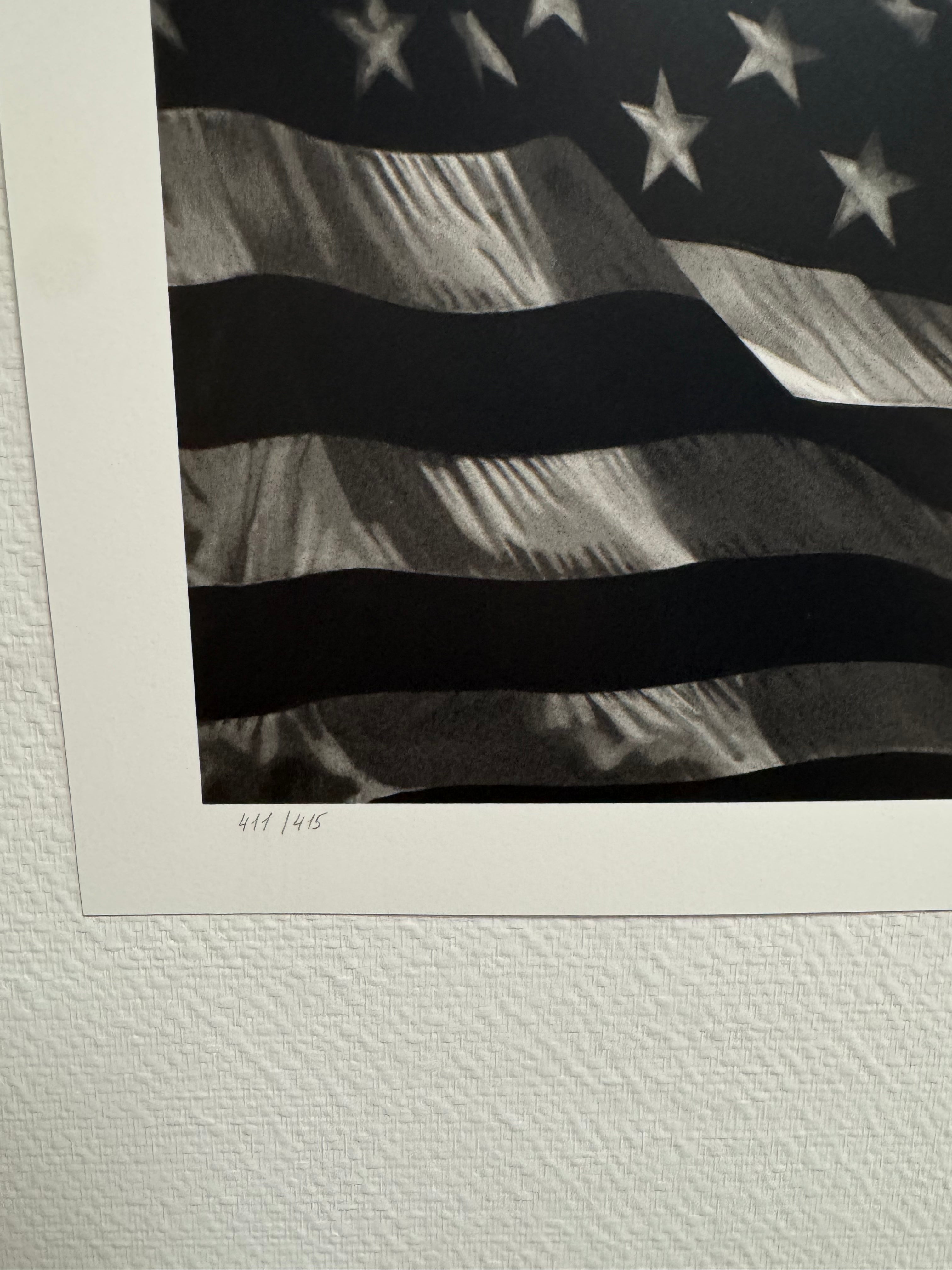 Robert Longo - Untitled (Falling Flag) 2025