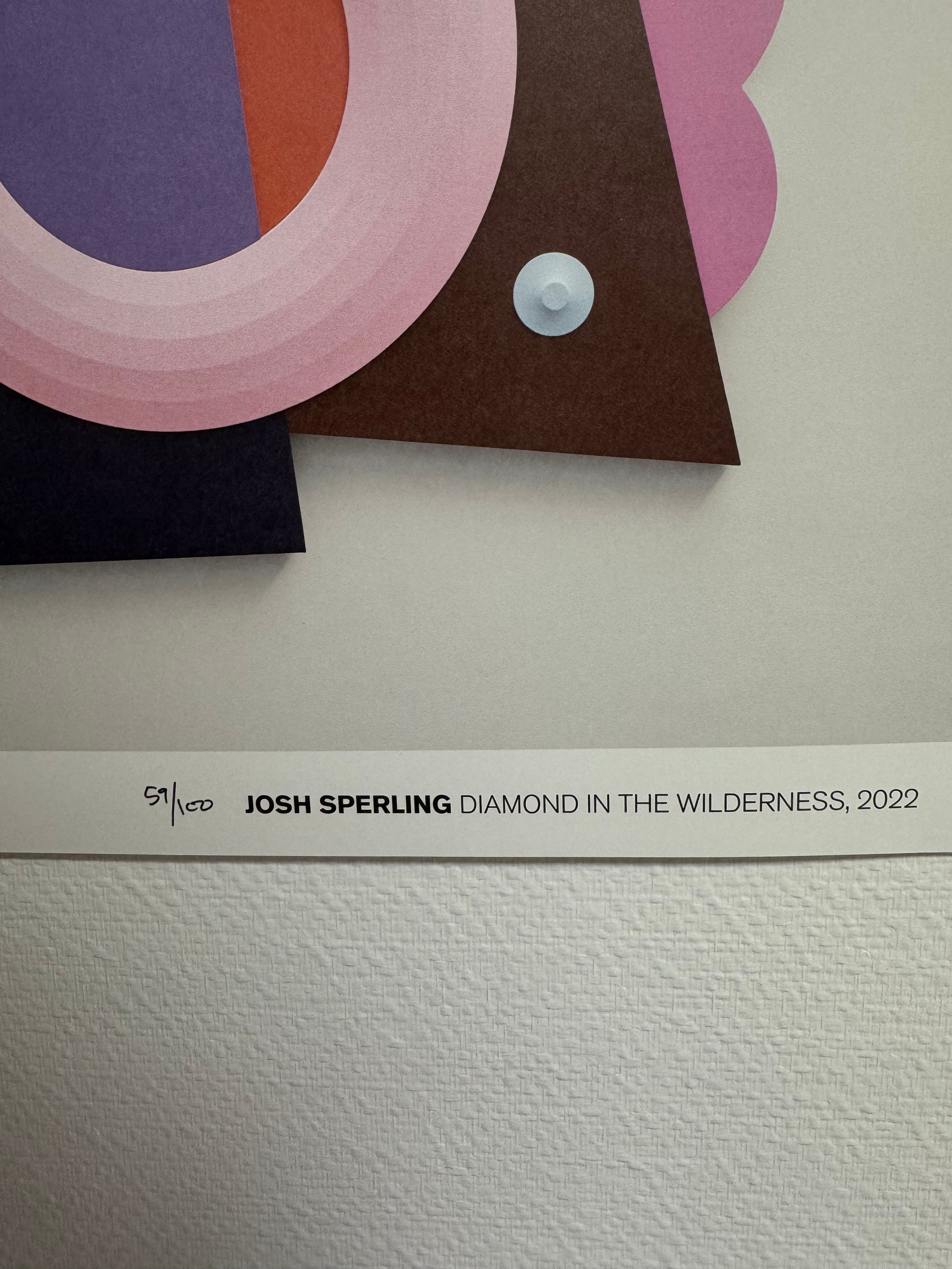 JOSH SPERLING - Untitled 2 (2022) I Limited Edition