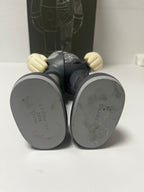 KAWS - Dissected Companion Gray (2006)