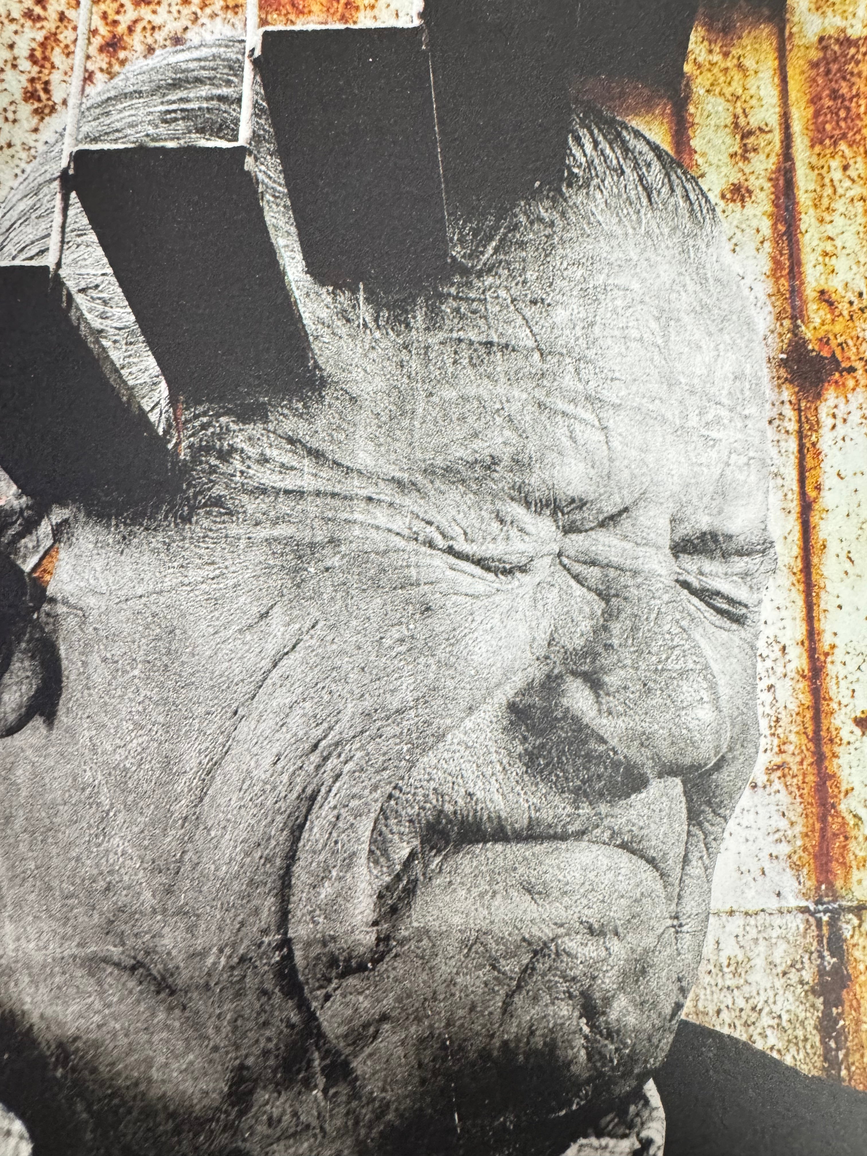 JR - Los Surcos de la Ciudad, Marino Saura Oton, Cartagena, Espagne (2008)