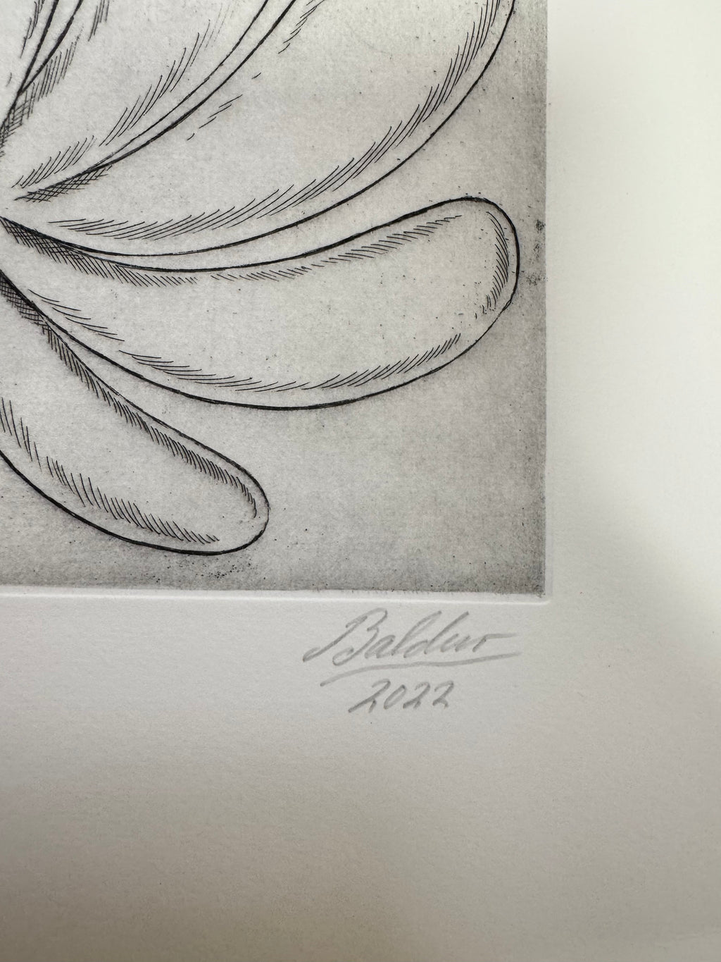 Baldur Helgason - Picaresque (2022) I Limited Edition