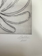 Baldur Helgason - Picaresque (2022) I Limited Edition