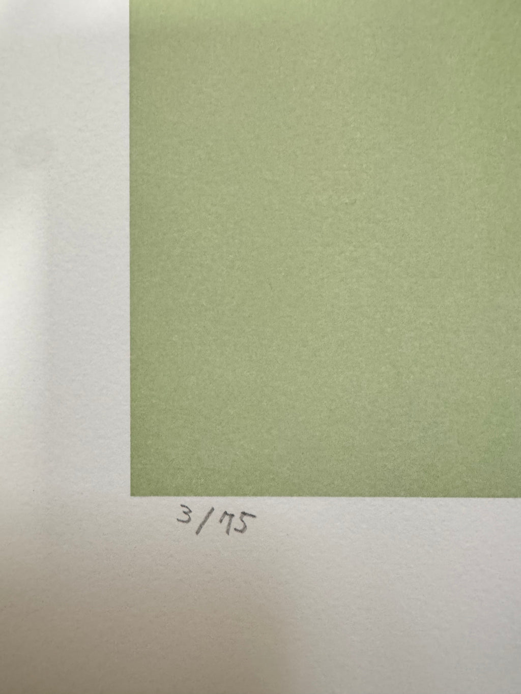 MAYUKA YAMAMOTO - MOUNTAIN GOAT BOY (2023)