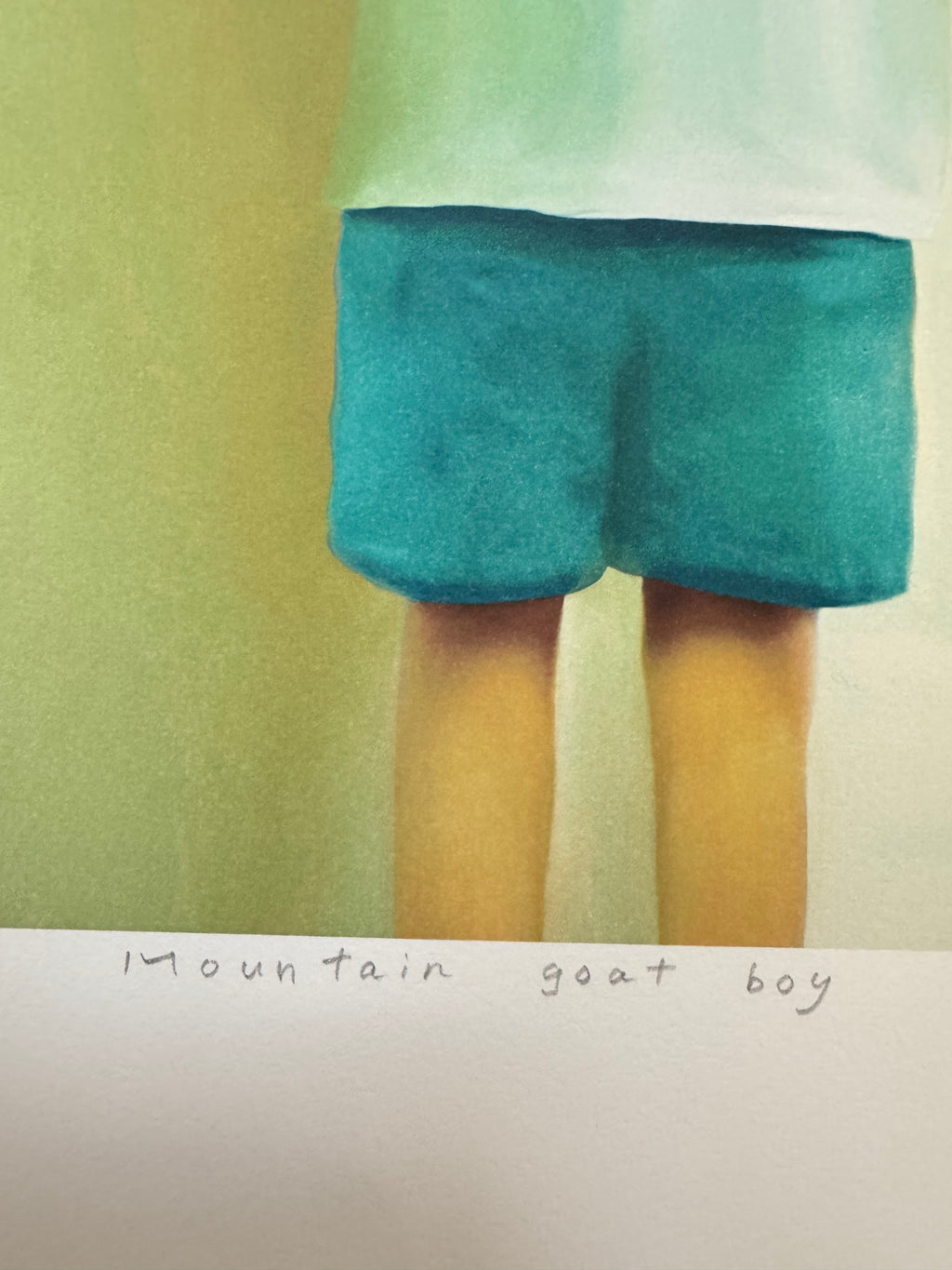 MAYUKA YAMAMOTO - MOUNTAIN GOAT BOY (2023)