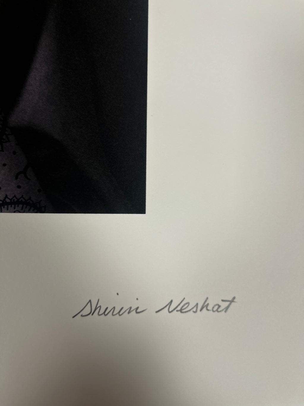 Neshat Shirin - Untitled (from Women of Allah)