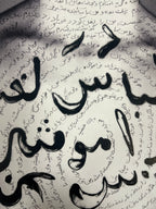 Neshat Shirin - Untitled (Chest) — from Unveiling series