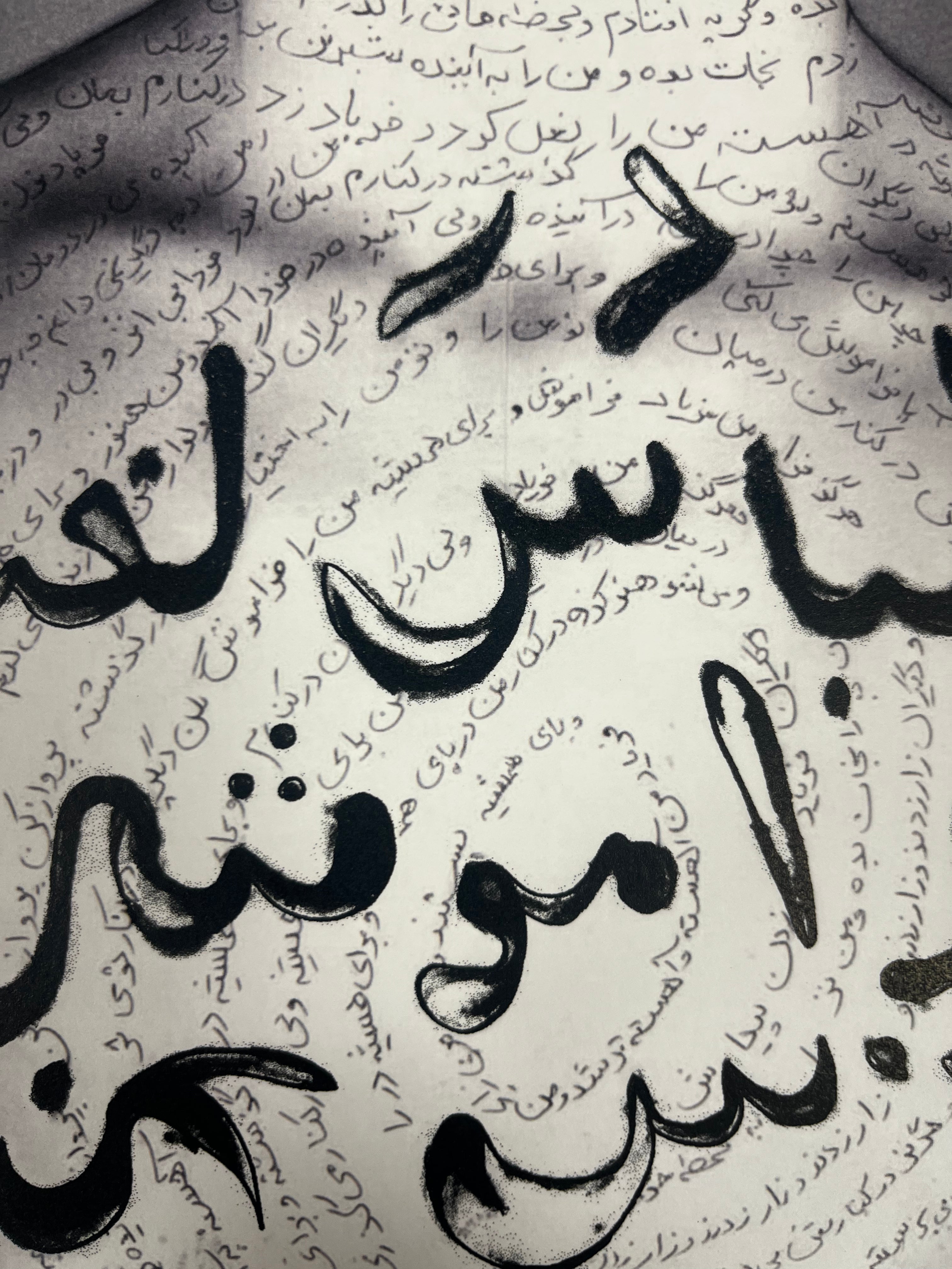 Neshat Shirin - Untitled (Chest) — from Unveiling series