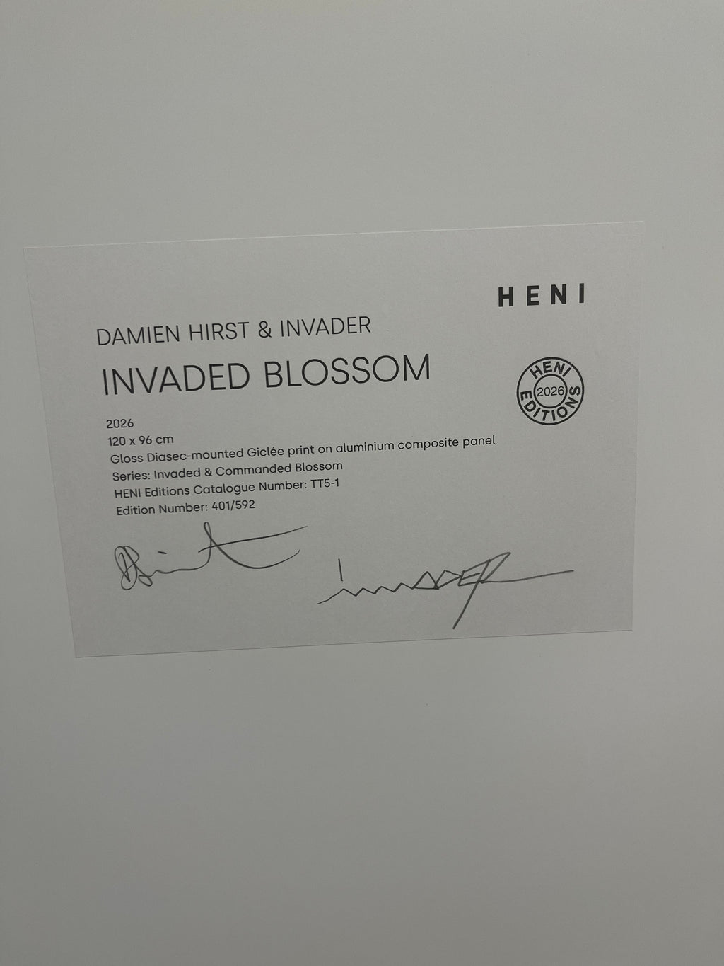 Invader & Damien Hirst – Invaded Blossom