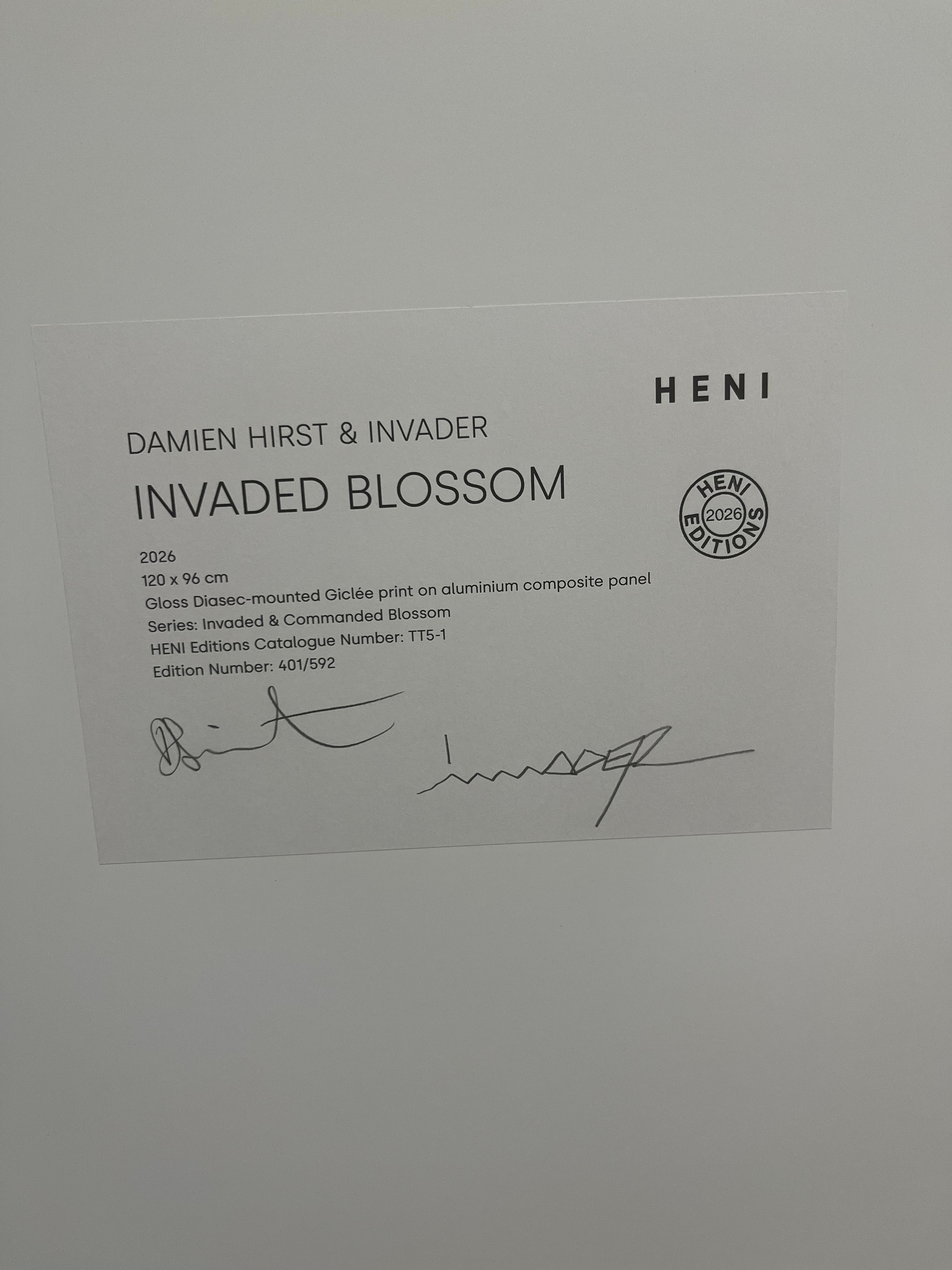 Invader & Damien Hirst – Invaded Blossom