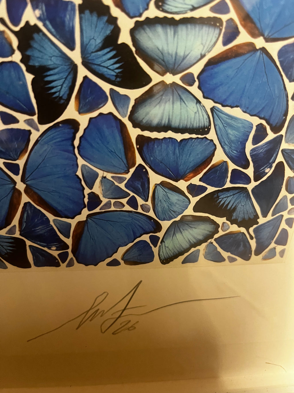 Shepard Fairey & Damien Hirst – Mandala Papillon Troisième Œil (Bleu) Petite