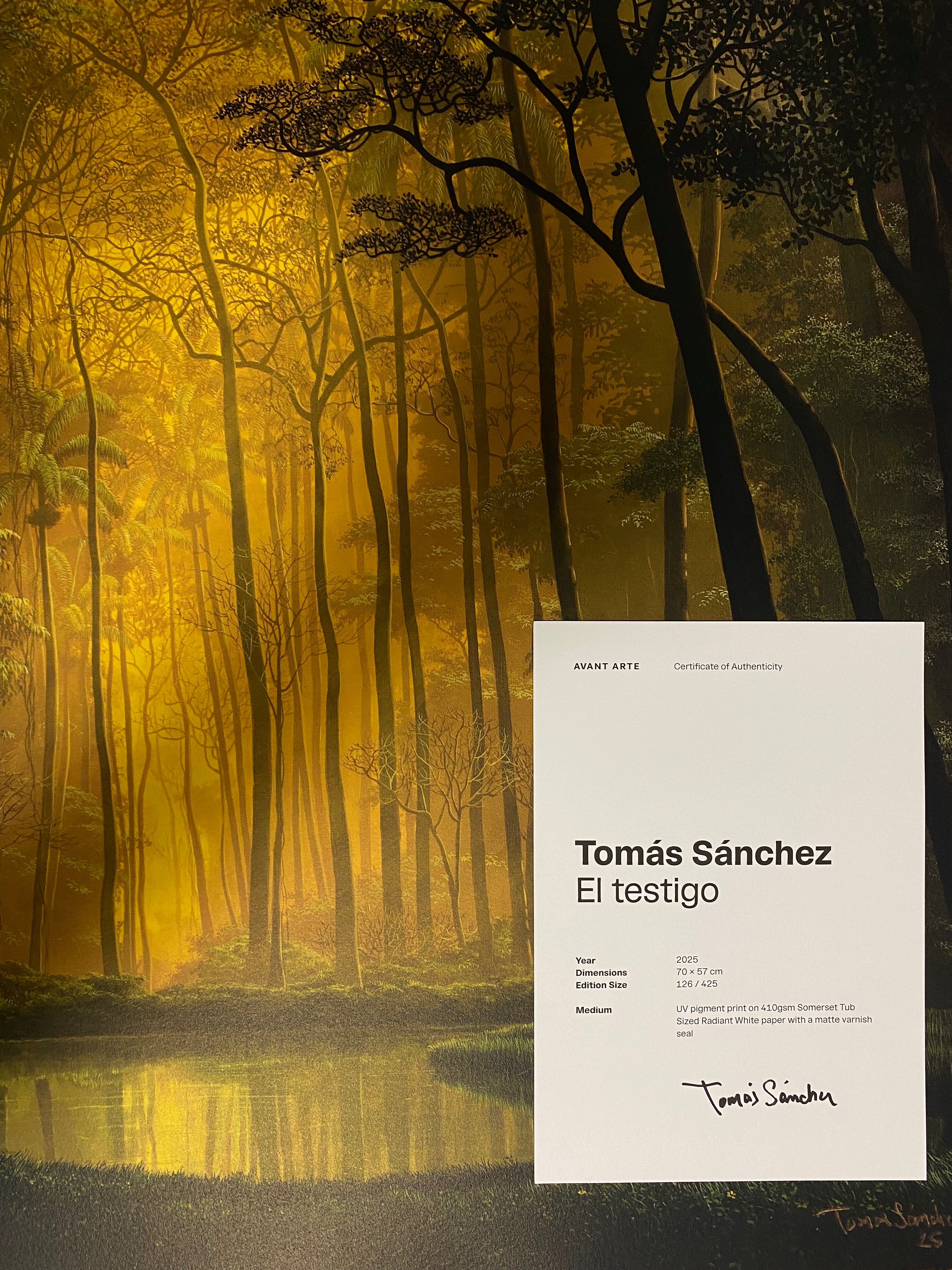 Tomás Sánchez - Le testigo (2025)