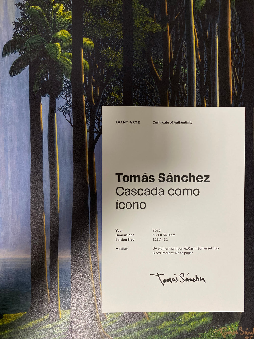 Tomás Sánchez - Cascada como ícono ( 2025)