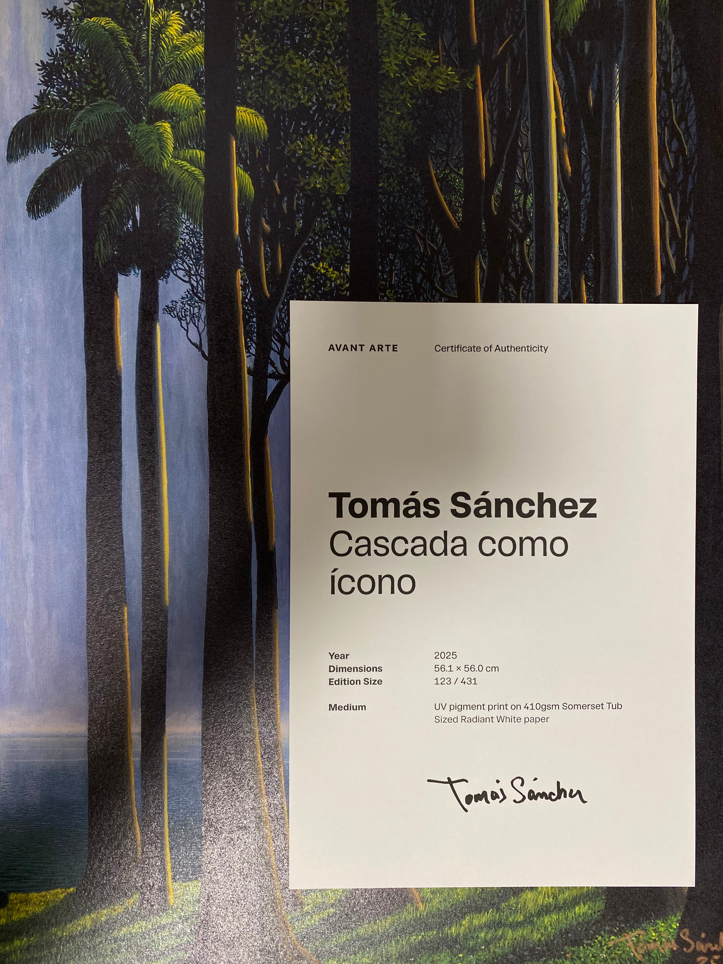 Tomás Sánchez - Cascada como ícono ( 2025)