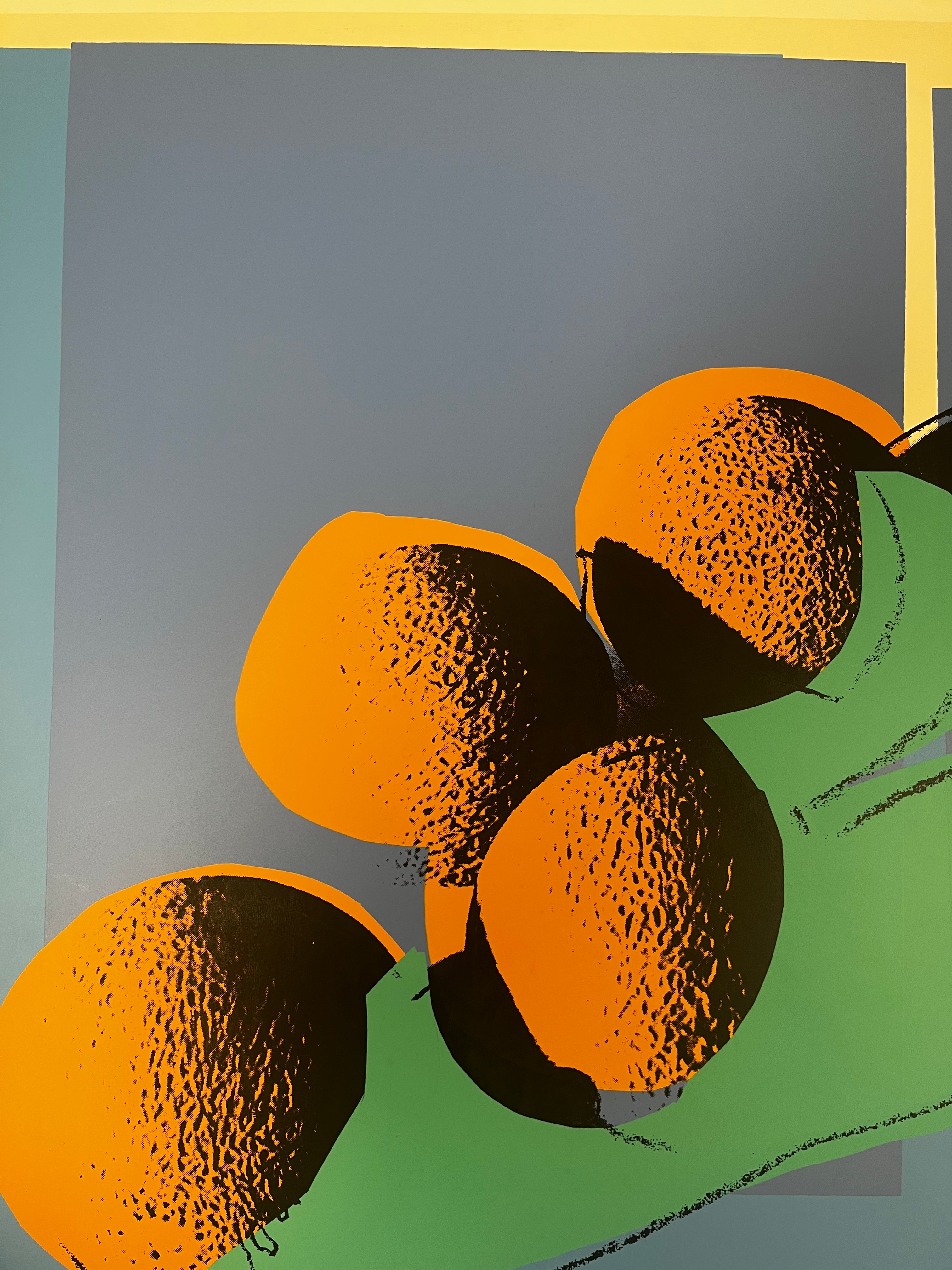 Andy Warhol – Cantaloupes I (from Space Fruit: Still Lifes) 1979