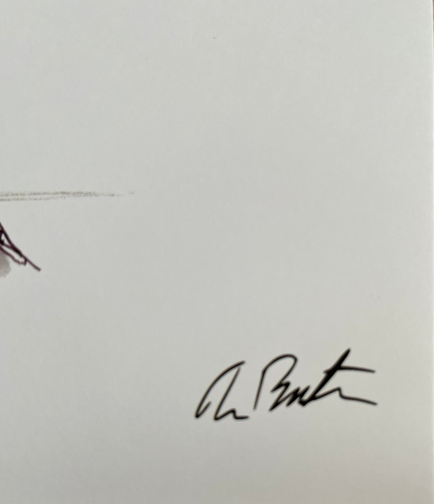 Tim Burton, Sans titre, print officiel signé
