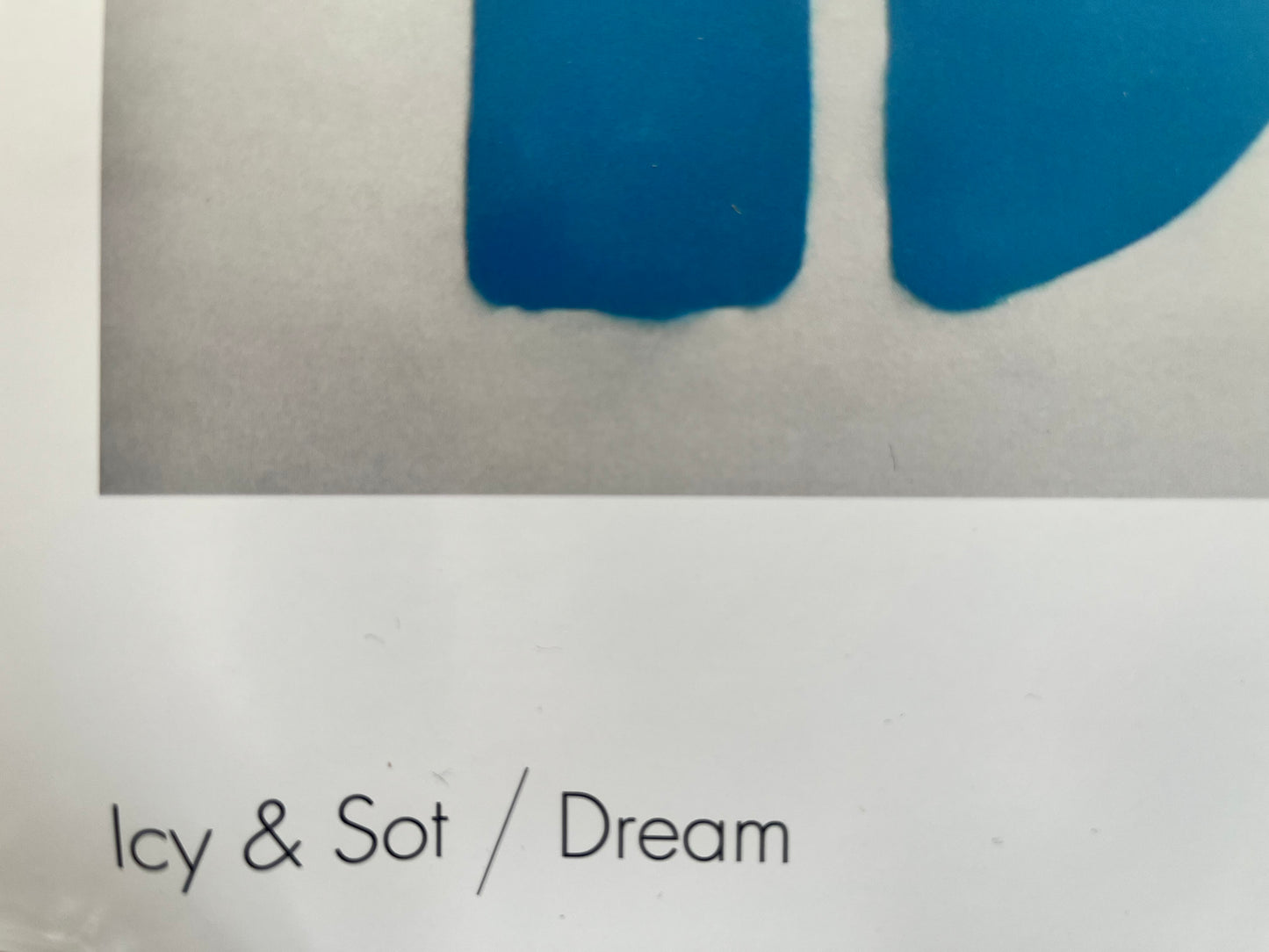 Offset screen print - Icy & Sot x MocoMuseum - Dream