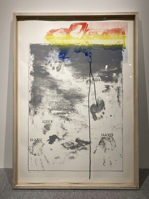 Jasper Johns – Pinion