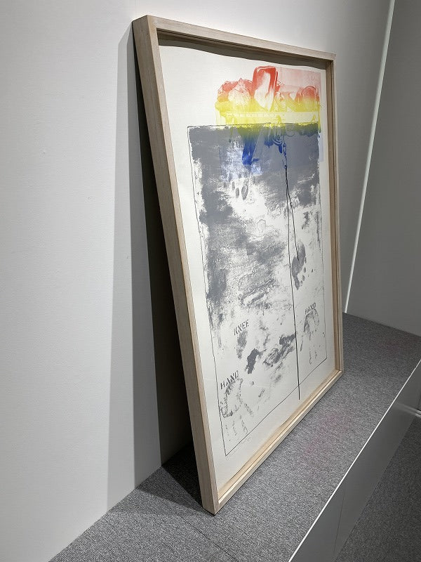 Jasper Johns – Pinion
