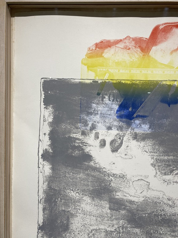 Jasper Johns – Pinion