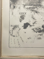 Jasper Johns – Pinion