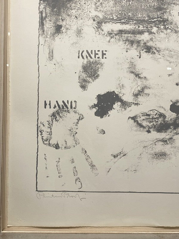 Jasper Johns – Pinion