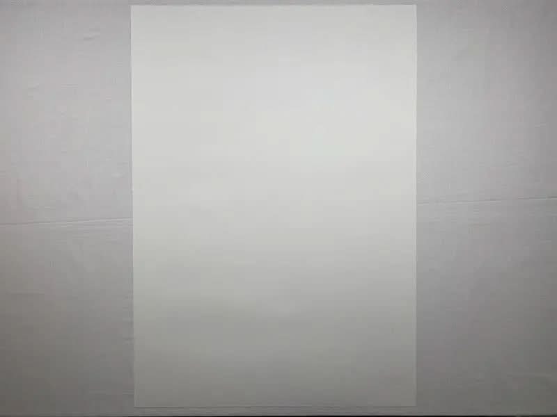 Invader – CAMEL (2015) – Sérigraphie signée, édition limitée à 100 exemplaires LYNART STORE