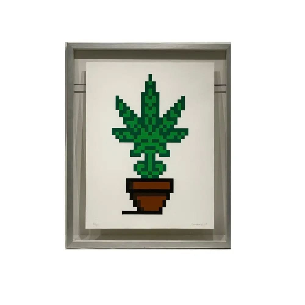 Invader – HOLLYWEED (Brown Pot) (2018) – Screenprint