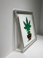 Invader – HOLLYWEED (Brown Pot) (2018) – Sérigraphie signée (édition limitée à 100 exemplaires) LYNART STORE