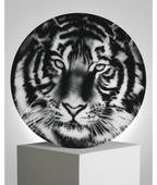 Robert Longo Porcelain Plate – "Tiger" LYNART STORE