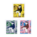 Kyne & Noncheleee, Untitled (2024) - Triptych of 3 color screenprints