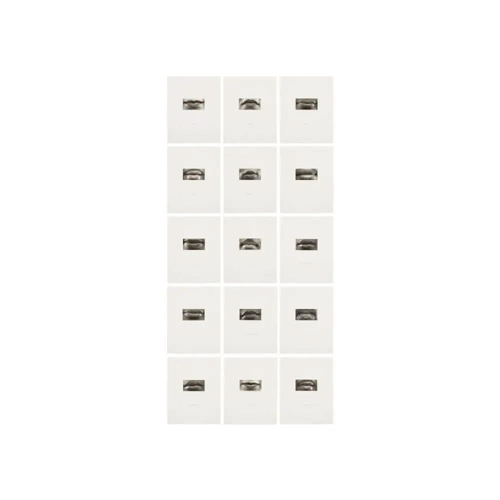 Lorna Simpson - 15 Mouths LYNART STORE