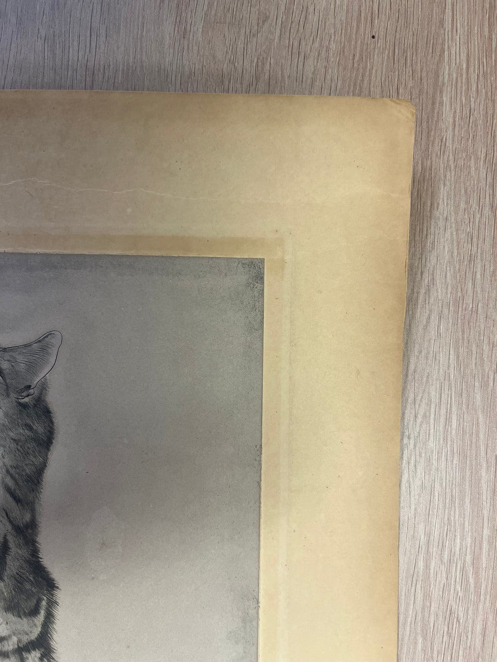 Léonard Tsuguharu Foujita – Chat endormi