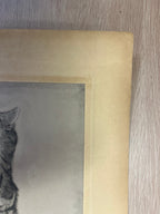 Léonard Tsuguharu Foujita – Chat endormi