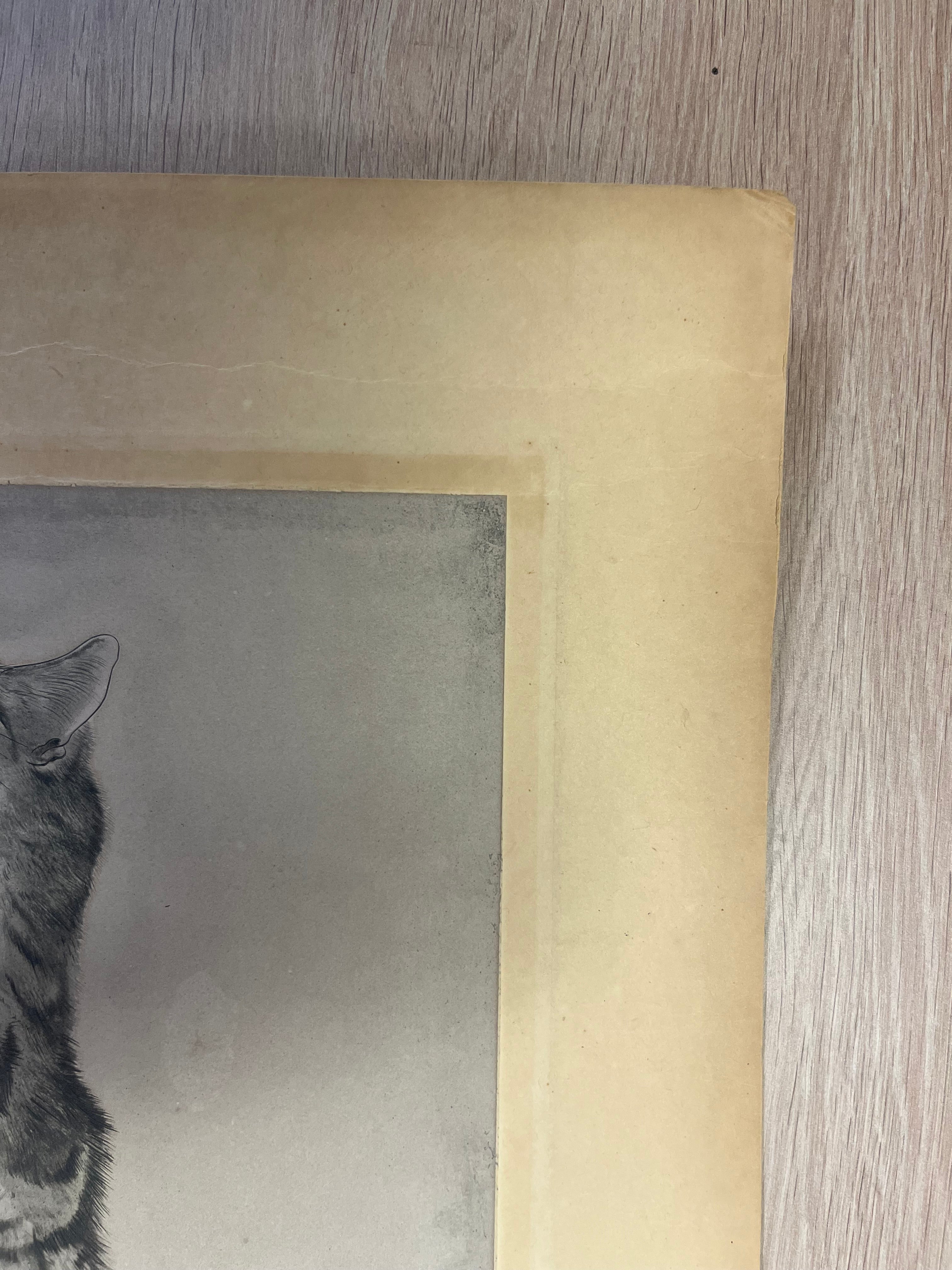 Léonard Tsuguharu Foujita – Chat endormi
