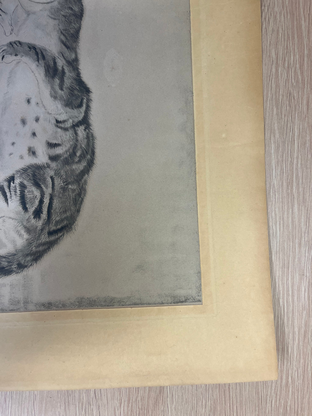 Léonard Tsuguharu Foujita – Chat endormi