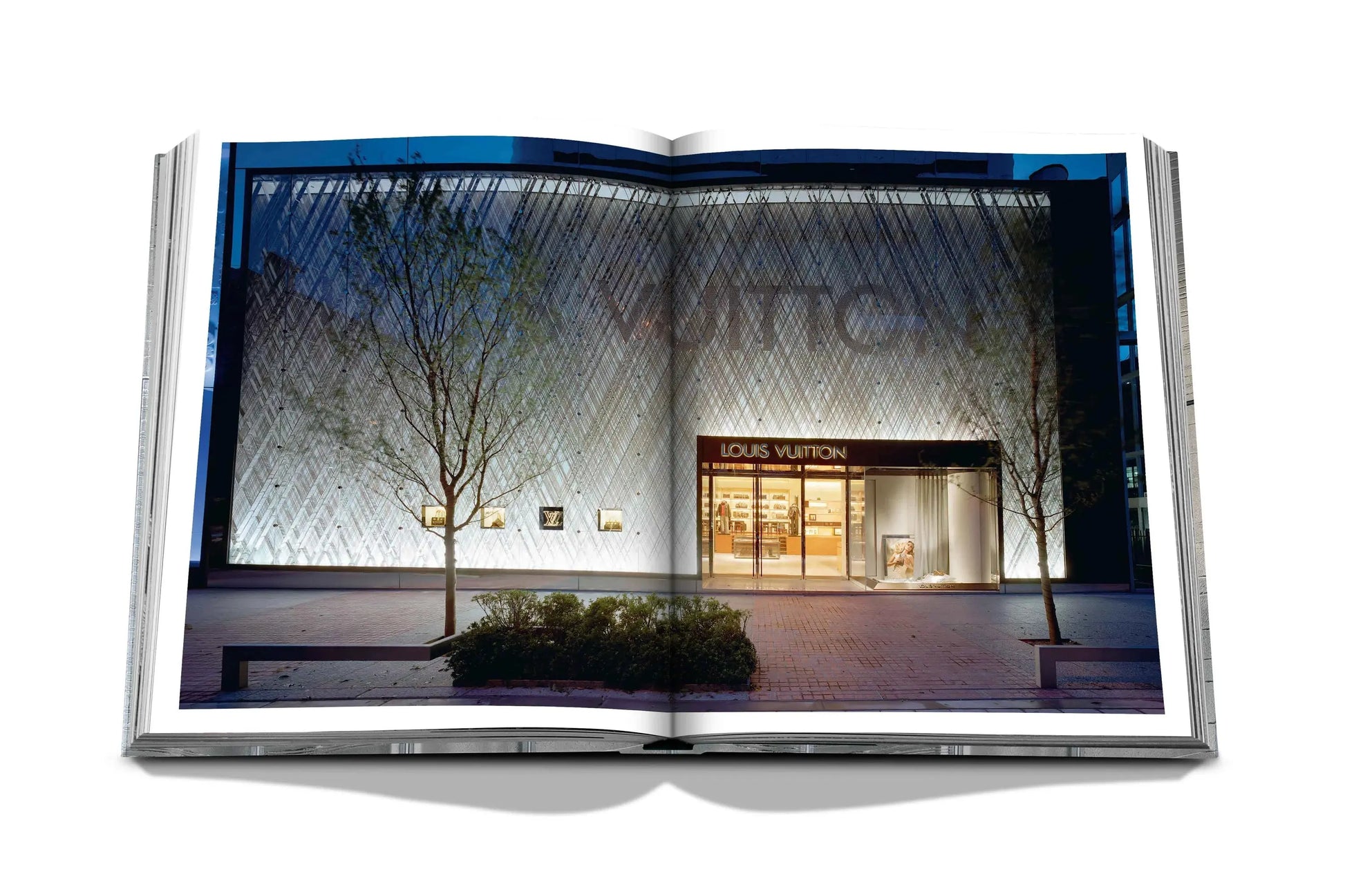 Louis Vuitton Skin: Architecture of Luxury (Singapore Edition) Editions ASSOULINE LYNART STORE