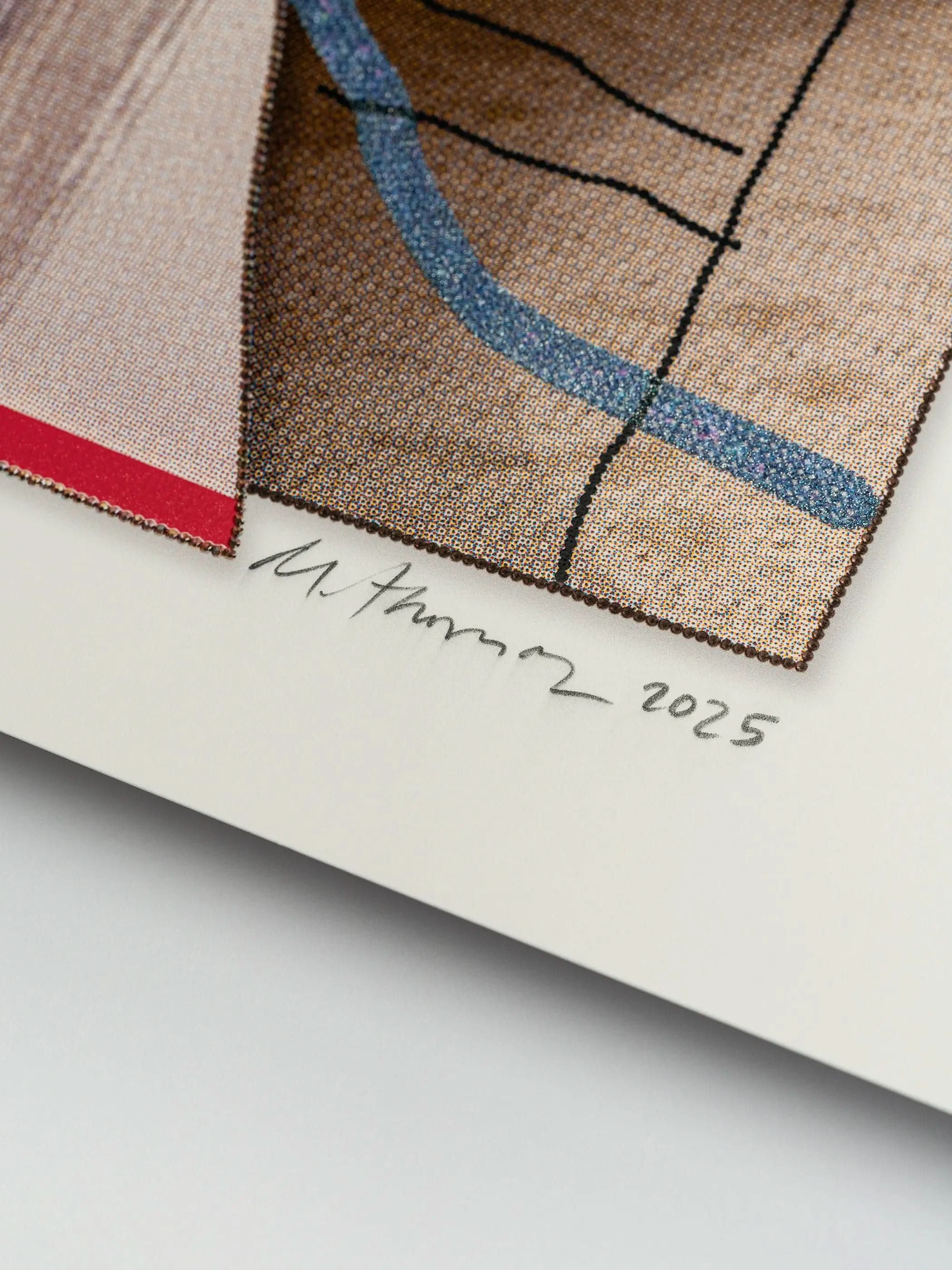 Mickalene Thomas,November 1981 (2025) LYNART STORE