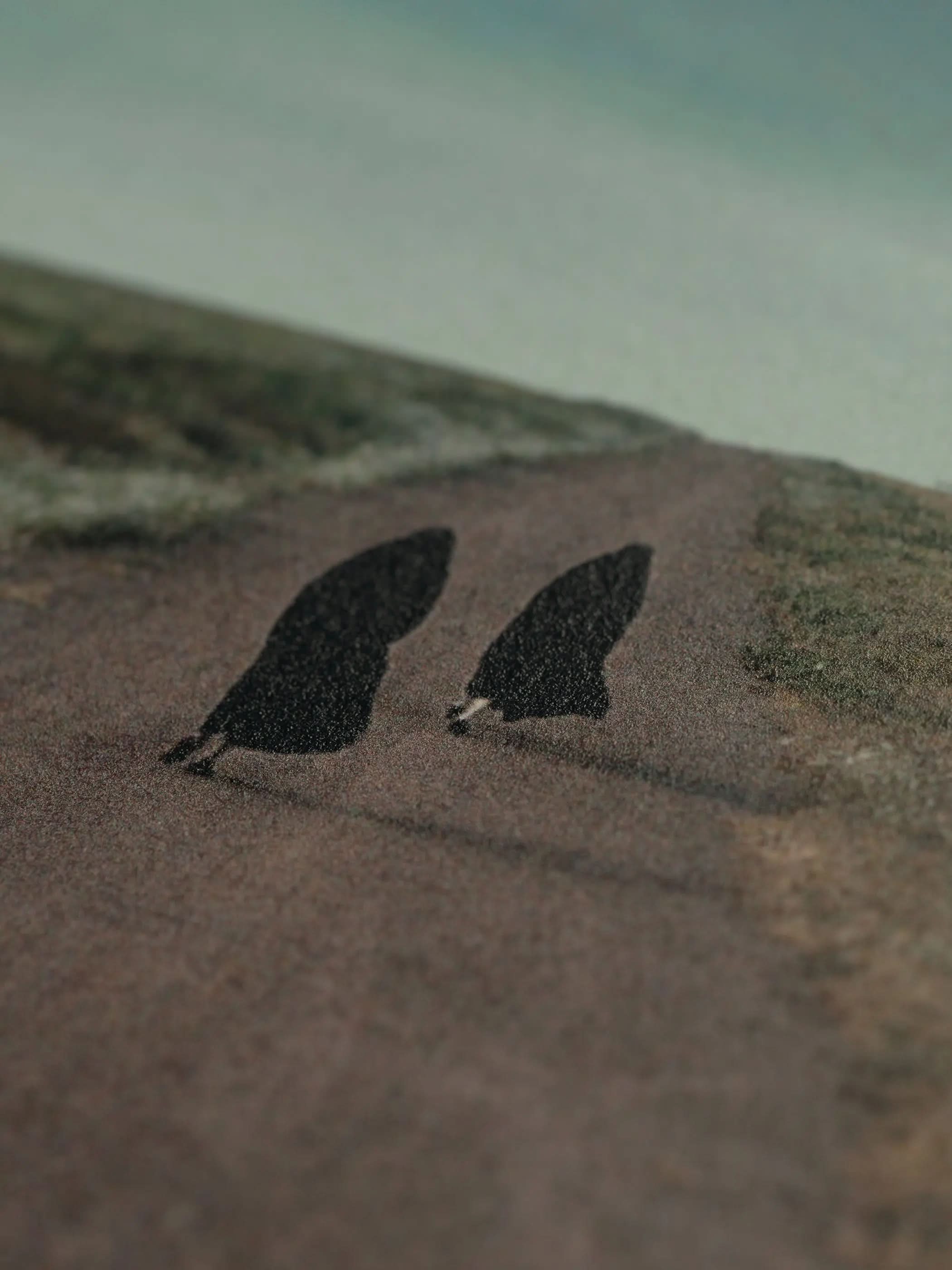 Neshat Shirin, Women Without Men #1 (2009) LYNART STORE