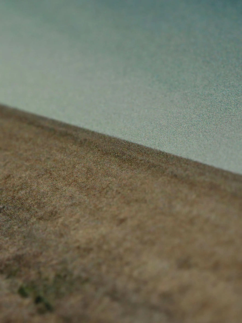 Neshat Shirin, Women Without Men #1 (2009) LYNART STORE