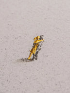 PEJAC - Hope(876-1000) L.Y.N.A.R.T Store