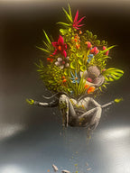 PEZ, Green Hands (2025) L.Y.N.A.R.T Store